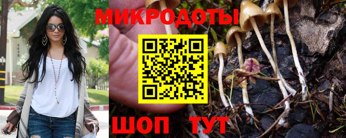 Галлюциногенные грибы GOLDEN TEACHER  где можно купить   Кириши  Вход с VPN 